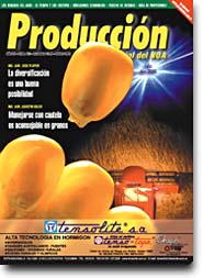 Tapa Diciembre 99, Enero 2000