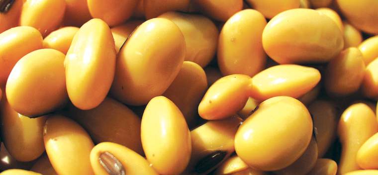 Revista PRODUCCION: "Agregarle valor a la soja, es crear trabajo argentino"