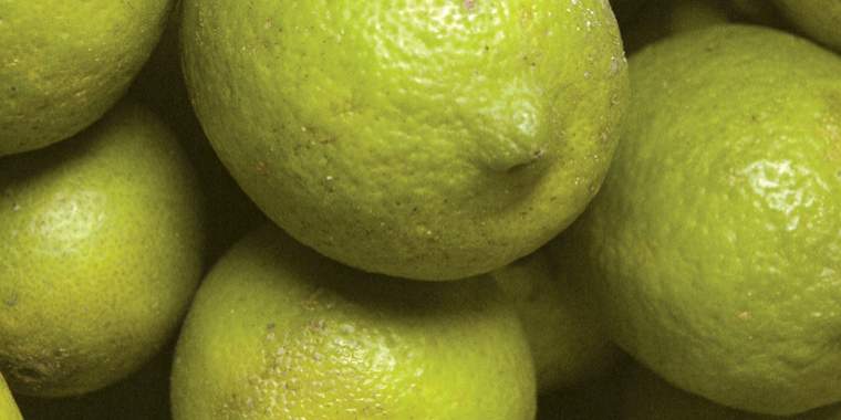 Revista PRODUCCION: Limoneros, atentos ante represalias en Espa&ntilde;a y la Uni&oacute;n Europea