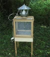 Revista PRODUCCION: Domesticaci&oacute;n de especies del g&eacute;nero cedrela