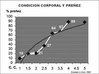 Revista PRODUCCION: Se vienen los servicios pero la vaca flaca no se pre&ntilde;a