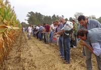 Revista PRODUCCION: 5ta. Jornada Nacional de Forrajes Conservados