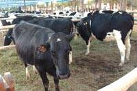 Revista PRODUCCION: Registro Nacional Sanitario de Productores Agropecuarios