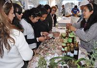 Revista PRODUCCION: Espacios de comercializaci&oacute;n en franco crecimiento