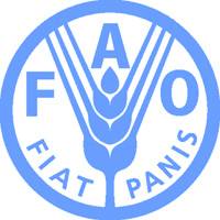Revista PRODUCCION: FAO estima una cosecha r&eacute;cord de cereales en el mundo
