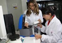 Revista PRODUCCION: nuevo m&eacute;todo para detectar royas en ca&ntilde;a de az&uacute;car