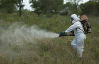 Revista PRODUCCION: nuevos avances en el control de la langosta