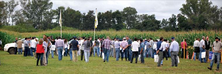 Revista PRODUCCION: EEAOC, d&iacute;a de campo de soja, ma&iacute;z y poroto