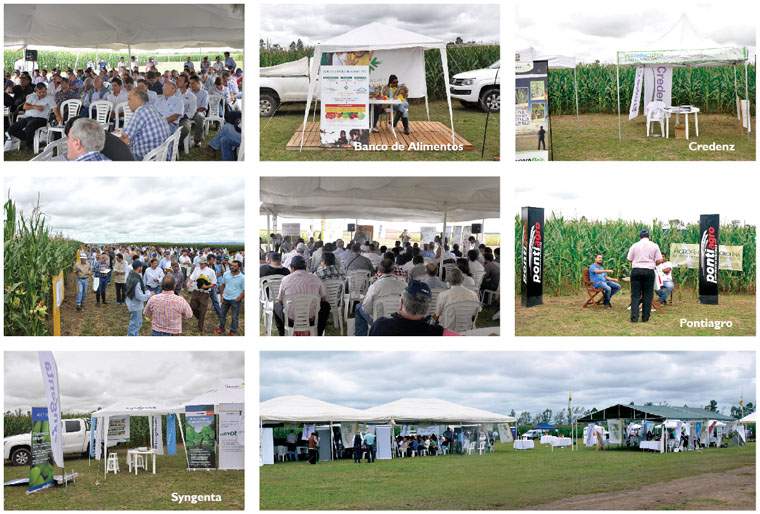 Revista PRODUCCION: EEAOC, d&iacute;a de campo de soja, ma&iacute;z y poroto