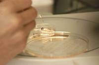 Revista PRODUCCION: producir m&aacute;s con menos,  y con valor agregado