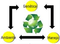 Revista PRODUCCION: Azollum H Bio - Bioestimulante radicular hort&iacute;colas y frutales