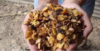 Revista PRODUCCION: ganader&iacute;a: alternativas para dise&ntilde;ar nuevas dietas
