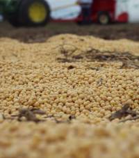 Revista PRODUCCION: el campo en tucum&aacute;n sigue creciendo, produciendo y tambi&eacute;n exportando