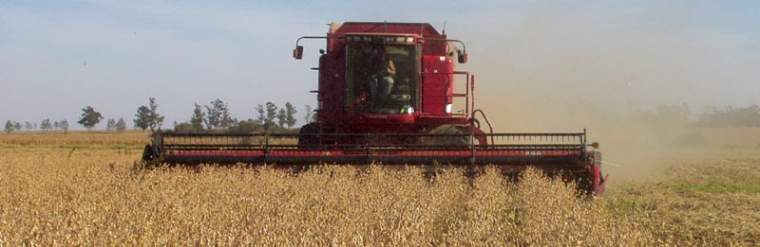 Revista PRODUCCION: "recuperar la confianza": la clave para salir de la crisis económica