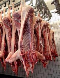 Revista PRODUCCION: la actividad porcina tiene todo para crecer en tucumán