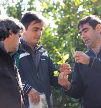 Revista PRODUCCION: stop al HLB