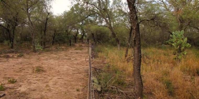 Revista PRODUCCION: en el chaco santiagueño recuperan bosques con prácticas agroecológicas