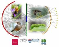 Revista PRODUCCION: Una ‘red de redes’ para hacer la agricultura más sustentable