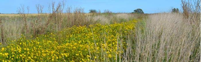 Revista PRODUCCION: Una ‘red de redes’ para hacer la agricultura más sustentable