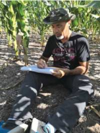 Revista PRODUCCION: Sembrar menos para producir más