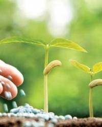 Revista PRODUCCION: En tiempos de sequía, la fertilización mejora la eficiencia del uso de agua y los rindes