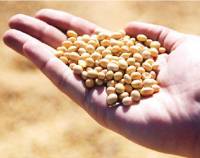 Revista PRODUCCION: Diesel renovable... Crece la producción en Estados Unidos y avanza una potencial amenaza para las exportaciones argentinas