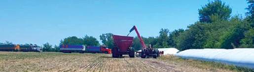 Revista PRODUCCION: Soja: cómo minimizar la pérdida de granos durante la cosecha