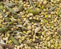 Revista PRODUCCION: Soja: pautas para el manejo de granos