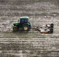 Revista PRODUCCION: Recomiendan triturar el rastrojo  de algodón para combatir el picudo