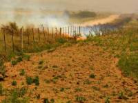 Revista PRODUCCION: Ante un clima seco y caluroso, cómo reducir el riesgo de incendios