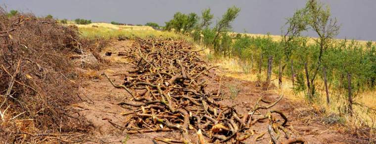 Revista PRODUCCION: Ante un clima seco y caluroso, cómo reducir el riesgo de incendios