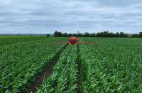 Revista PRODUCCION: En años Niña, fertilizar incrementa en un 73% la eficiencia del uso de agua