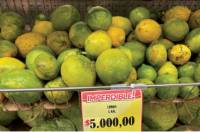 Revista PRODUCCION: Hace 6 años que el citrus viene de crisis en crisis. Hay que trabajar en serio y ser competitivos.