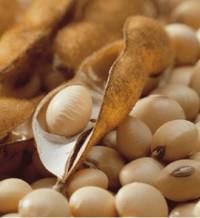 Revista PRODUCCION: Deberíamos ser más prolijos con el manejo de nuestros costos propios