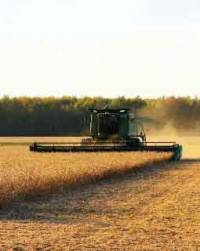 Revista PRODUCCION: “Las siembras tempranas de soja padecieron por el calor”