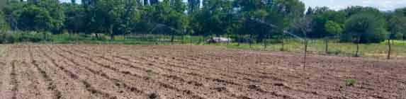 Revista PRODUCCION: Energías renovables para la obtención de agua de riego subterránea