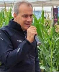 Revista PRODUCCION: El maíz siempre es una oportunidad: recupera terreno y aspira a crecer un 18% 