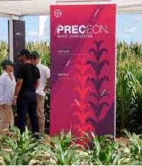 Revista PRODUCCION: El maíz siempre es una oportunidad: recupera terreno y aspira a crecer un 18% 