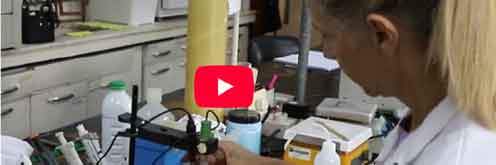 Revista PRODUCCION: Logran editar un biofertilizante que aumenta un 6 % la productividad de la soja