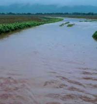 Revista PRODUCCION: Manejo agrohidrológico: estrategia para mitigar la erosión