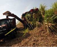 Revista PRODUCCION: Las actividades sucroalcoholera y citrícola trabajan para superar sus momentos de crisis