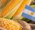 Revista PRODUCCION: Cartelización de producción de semillas en Argentina 