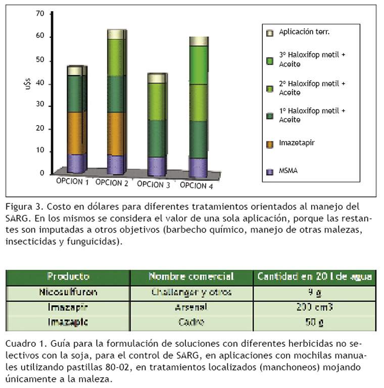 Revista PRODUCCION: Sorgo de alepo resistente a glifosato