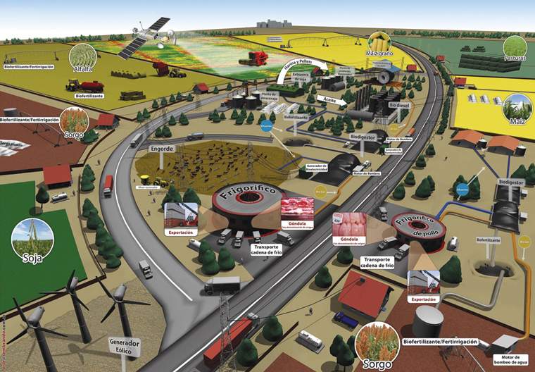 Revista PRODUCCION: Integración Vertical de los Sistemas Productivos Argentinos