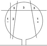 Revista PRODUCCION: Palta