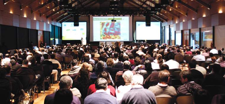 Revista PRODUCCION: El girasol hoy es negocio