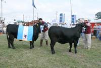 Revista PRODUCCION: 67º Exposici&oacute;n Rural Salte&ntilde;a