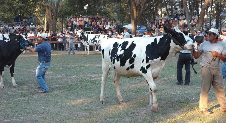 Revista PRODUCCION: 2da. Expo L&aacute;ctea del Norte