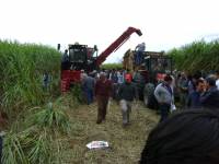 Revista PRODUCCION: Cosecha integral de ca&ntilde;a