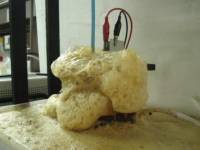 Revista PRODUCCION: La vinaza ?qu&eacute; hacer con ella?